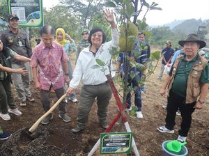 Area Tidak Produktif di Taman Safari Disulap Jadi Hutan Pakan Satwa