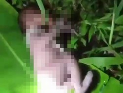 Remaja Banyuwangi Melahirkan di Kebun Lalu Buang Bayinya Beralas Daun Pisang