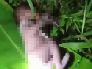 Remaja Banyuwangi Melahirkan di Kebun Lalu Buang Bayinya Beralas Daun Pisang Remaja Banyuwangi Melahirkan di Kebun Lalu Buang Bayinya Beralas Daun Pisang