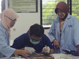 Dosen UMM Ciptakan Obat Alami Diabetes Pertama di Indonesia