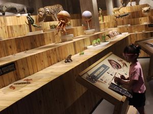 Mengenal Ratusan Satwa Liar Lewat Eduwisata Animalium