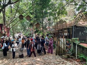 Ribuan Wisatawan Padati Hutan Pinus Pijar Park Kudus Ribuan Wisatawan Padati Hutan Pinus Pijar Park Kudus