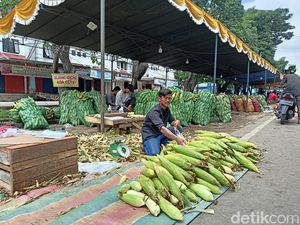Takut Tidak Laku, Pedagang di Palembang Obral Jagung Rp 5 Ribu Per Kg