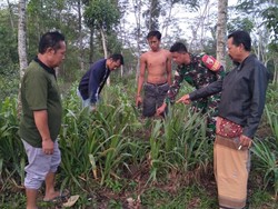 Bayi Masih Hidup Ditemukan di Persawahan Blitar, Diduga Baru Saja Dilahirkan