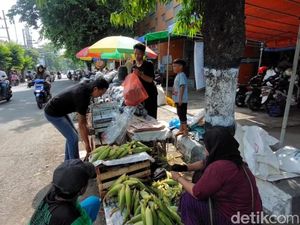 Jagung Manis dan Arang Laris Jelang Malam Pergantian Tahun di Lamongan Jagung Manis dan Arang Laris Jelang Malam Pergantian Tahun di Lamongan