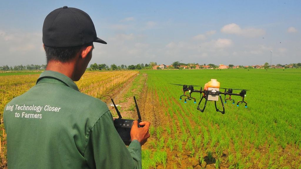 Penyemprotan Pestisida dengan Drone Mulai Diminati, Begini Potretnya