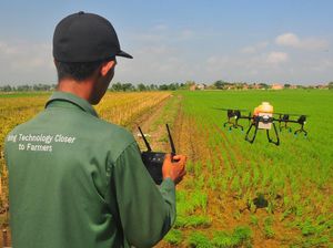 Penyemprotan Pestisida dengan Drone Mulai Diminati, Begini Potretnya