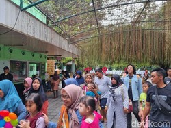 25 Ribu Orang Berlibur di Kebun Binatang Surabaya pada Penghujung 2023