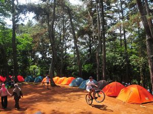 Serunya Kemah di Lereng Gunung Muria Jateng