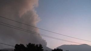 Potret Pascaerupsi Gunung Lewotobi, Kebun-Motor Berselimut Abu Vulkanik