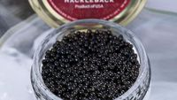 Ini Dia! 10 Jenis Caviar di Dunia yang Populer Sebagai Makanan Sultan