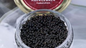 Ini Dia! 10 Jenis Caviar di Dunia yang Populer Sebagai Makanan Sultan