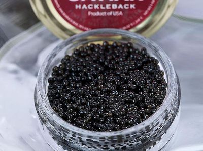 Ini Dia! 10 Jenis Caviar di Dunia yang Populer Sebagai Makanan Sultan
