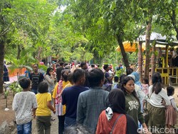 40 Ribu Pengunjung Serbu KBS pada 1 Januari 2024