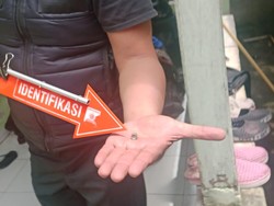 Peluru Nyasar Tembus Atap Rumah Saat Pemilik Lagi Asyik Bakar Jagung