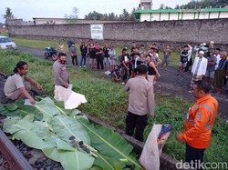 Pria Jember Terlindas Kereta Api Usai Diduga Mabuk dan Tertidur di Rel