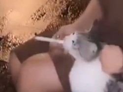 Polisi Temukan Wanita Viral Paksa Kucing Merokok di Tebing Tinggi