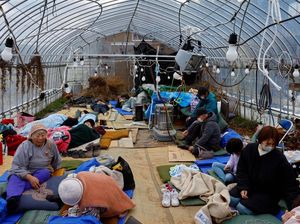 97.000 Orang Jadi Pengungsi Akibat Gempa Jepang 97.000 Orang Jadi Pengungsi Akibat Gempa Jepang