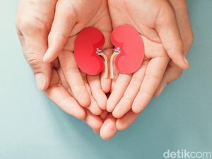 Terungkap Pemicu Bocil-bocil Sakit Ginjal sampai Cuci Darah ke RSCM Terungkap Pemicu Bocil-bocil Sakit Ginjal sampai Cuci Darah ke RSCM