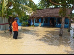 Sungai Tuntang Meluap, Ratusan Rumah di Grobogan Kebanjiran
