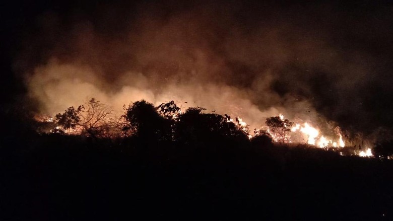 BPBD Catat 2 Ribu Hektare Lebih Lahan di Babel Terbakar Sepanjang 2023
