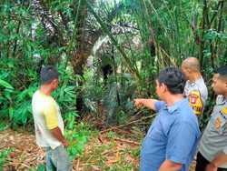 Geger Penemuan Bayi Dalam Kantong Plastik di Bone Bolango, Polisi Selidiki