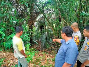 Geger Penemuan Bayi Dalam Kantong Plastik di Bone Bolango, Polisi Selidiki Geger Penemuan Bayi Dalam Kantong Plastik di Bone Bolango, Polisi Selidiki