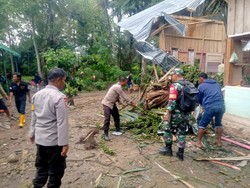 Pohon Aren Tumbang Timpah Rumah Warga di Luwu, 1 Orang Tewas