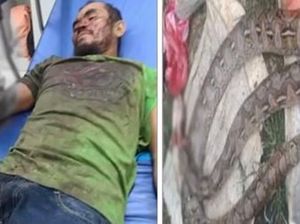 Pria Ini Selamat Setelah Gigit Ular Piton Sampai Mati