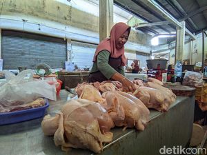 Harga Cabai-Daging Ayam di Kulon Progo Turun Awal Tahun Ini Harga Cabai-Daging Ayam di Kulon Progo Turun Awal Tahun Ini
