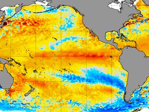 Studi: El Nino Bakal Lebih Kuat dalam 2-5 Tahun, Ini Dampaknya bagi Iklim Global