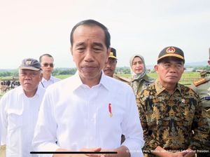 Tak Ingin Harga Gabah Turun Drastis, Jokowi: Petani Perlu Untung