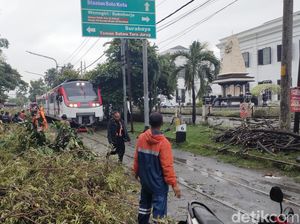 Pohon Tumbang Dievakuasi, KA Batara Kresna Akhirnya Bisa Melintas Lagi