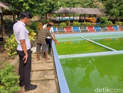 Duka Saat Liburan, Bocah SD Pangandaran Tewas Tenggelam di Kolam Renang
