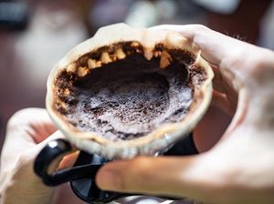 Jangan Dibuang! Ini 5 Manfaat Ampas Kopi untuk Keperluan Dapur Jangan Dibuang! Ini 5 Manfaat Ampas Kopi untuk Keperluan Dapur
