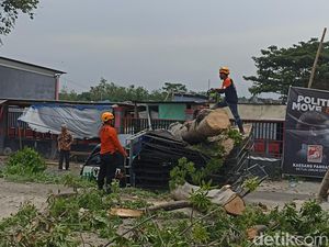 Pohon Tumbang gegara Angin Kencang Timpa Pikap di Kota Blitar Pohon Tumbang gegara Angin Kencang Timpa Pikap di Kota Blitar