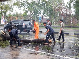 Sejumlah Pohon Tumbang di Boyolali Imbas Hujan Disertai Angin Kencang Sejumlah Pohon Tumbang di Boyolali Imbas Hujan Disertai Angin Kencang