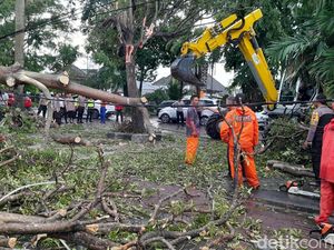 Jalan Slamet Riyadi Solo Diterjang Angin, Pohon Tumbang-Listrik Padam Jalan Slamet Riyadi Solo Diterjang Angin, Pohon Tumbang-Listrik Padam