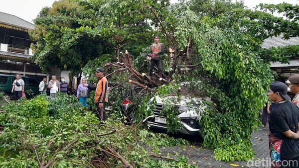Penampakan Pohon Tumbang Usai Angin Kencang Melanda Kota Solo