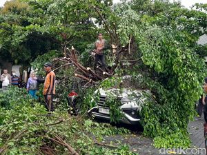 Disapu Angin Kencang, Pohon Tumbang Timpa 2 Mobil di Pasar Depok Solo Disapu Angin Kencang, Pohon Tumbang Timpa 2 Mobil di Pasar Depok Solo