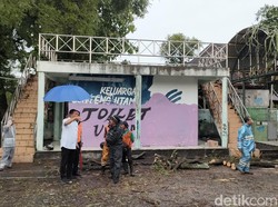 Hujan Deras-Angin Kencang di Solo, Wawali Cek Lokasi Pohon Tumbang