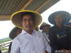 Jatah Subsidi Pupuk Sempat Turun 50%, Mentan Ungkap Biang Keroknya