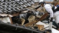 Anjing Pelacak Dikerahkan Cari Korban Gempa di Jepang