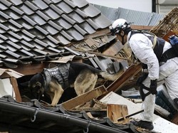 Lansia 90 Tahun Selamat Usai 5 Hari Tertimpa Reruntuhan Gempa Jepang