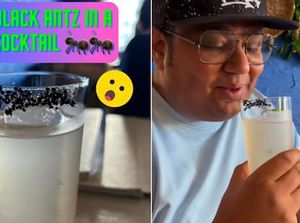 Food Vlogger Cicip Cocktail Semut Panggang, Seperti Apa Rasanya?