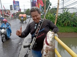 Tangkap Kakap 12,5 Kg di Pati, Pemancing Cerita Strike hingga Benang Putus
