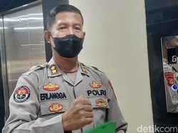 Juliansyah Diciduk BNN Empat Lawang karena Miliki Ladang Ganja di Kebun Kopi