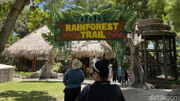 Liburan Seru di Taman Safari Bali