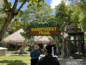 Liburan Seru di Taman Safari Bali