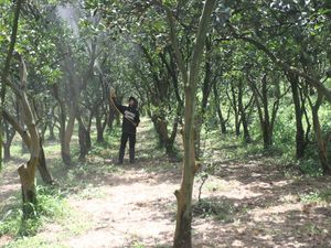 Cuaca Ekstrem Belakangan, Apa Itu El Nino dan La Nina Cuaca Ekstrem Belakangan, Apa Itu El Nino dan La Nina